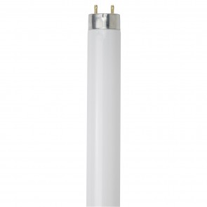 Sunlite 03729-SU F30T8/DISPLAY T8 30 Watts T8 Linear Fluorescent Bulbs