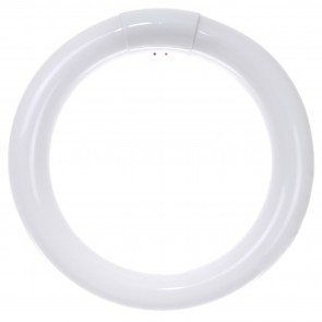 Sunlite 05027-SU FC8T9/CW T9 Circline 22 Watts 4-Pin (G10q) Circline Tubular Lamps Cool White 4100K