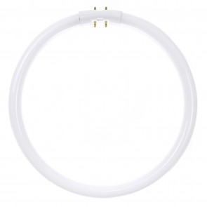 Sunlite 05810-SU FC22T5/SP841 22 Watts Circline T5 Shape 4-Pin (2GX13) 1900 Lumens Fluorescent Circline Light Cool White 4100K